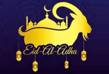 क़ुर्बानी के अहम मसाइल